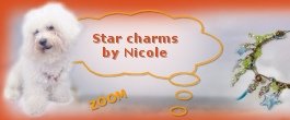 + zoom ... foto e consigli per realizzare Star charms