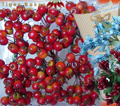 peperoncini mele rafia porta confetti creare con articoli bomboniere wedding piantine perline confetti bacche frutta fruttini