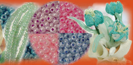 creare con perline fiori di perle di conteria tulipani colore rosa confetti