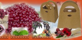 scatole per confezioni regalo anniversario Comunione Cresima idee bomboniere perle perline fai da te uva bonsai